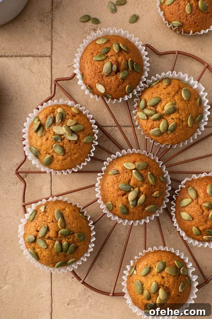 Moist Pumpkin Muffins with Warm Spices Recipe 8 Overhead shot of pumpkin muffins cooling on a wire rack