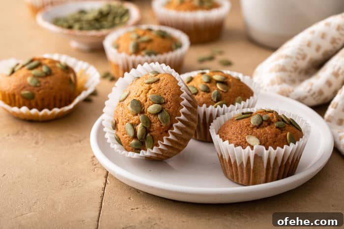 Moist Pumpkin Muffins with Warm Spices Recipe 10 Three pumpkin muffins on a white plate