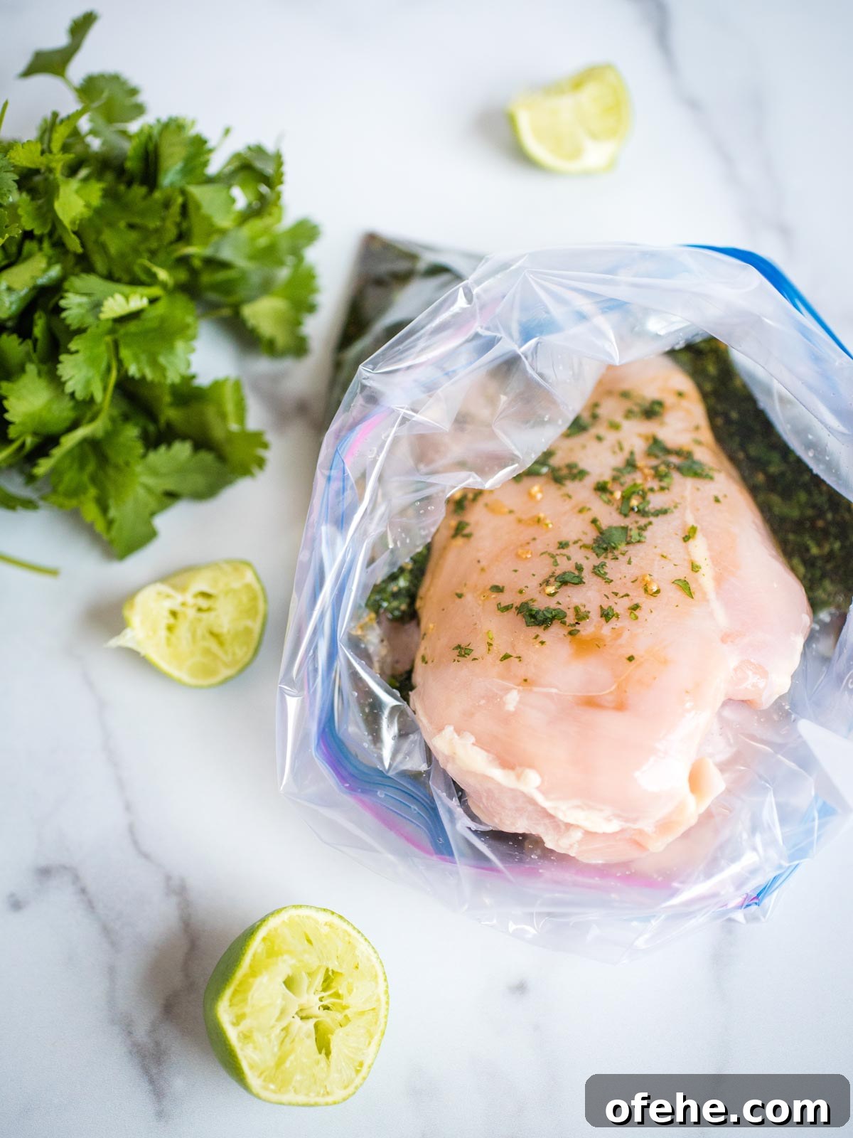 Honey Cilantro Lime Chicken Marinade Recipe for Grilled Chicken 6 marinated chicken in a ziploc bag