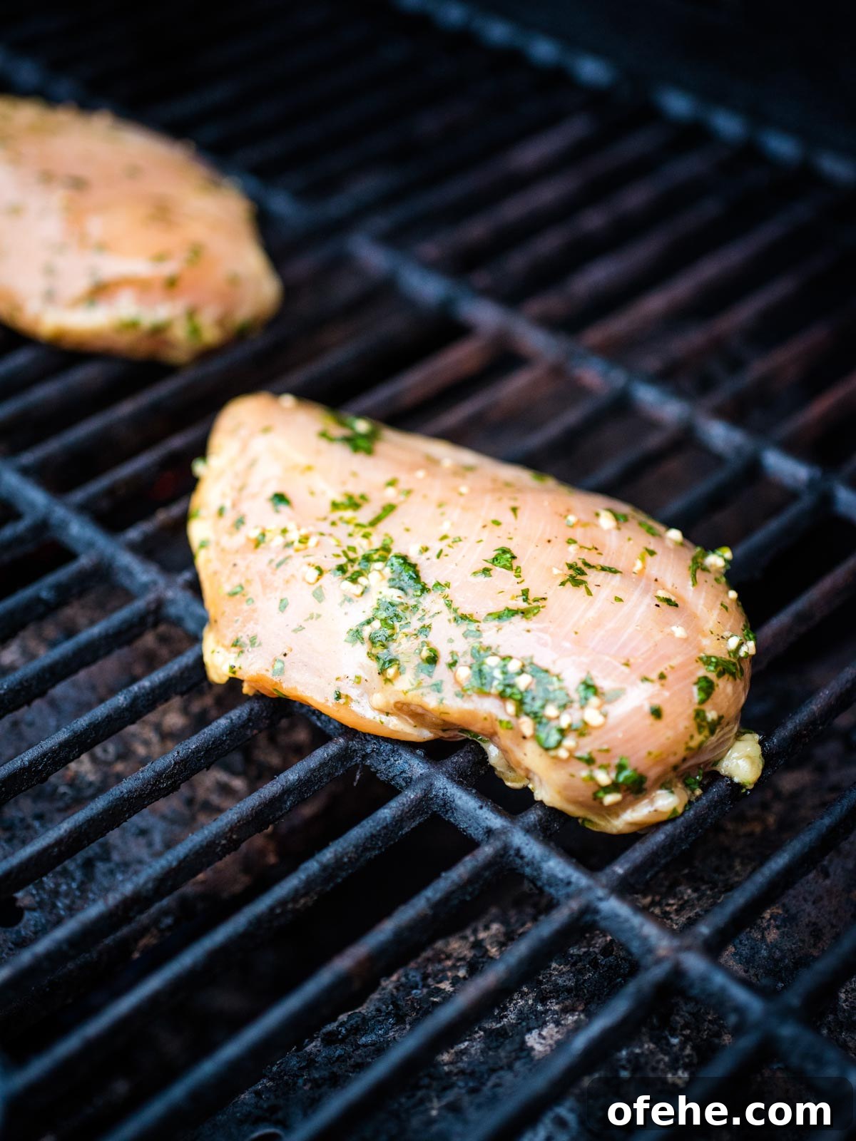 Honey Cilantro Lime Chicken Marinade Recipe for Grilled Chicken 9 seasoned marinated chicken on grill