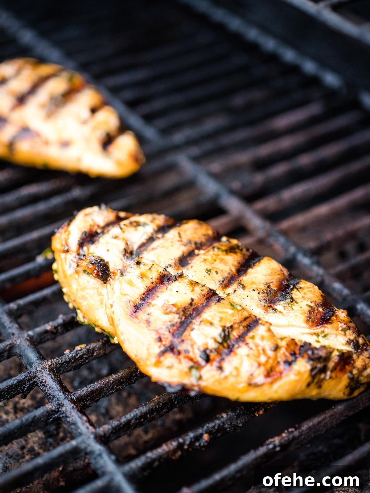 Honey Cilantro Lime Chicken Marinade Recipe for Grilled Chicken 10 cooked chicken on grill showing grill marks