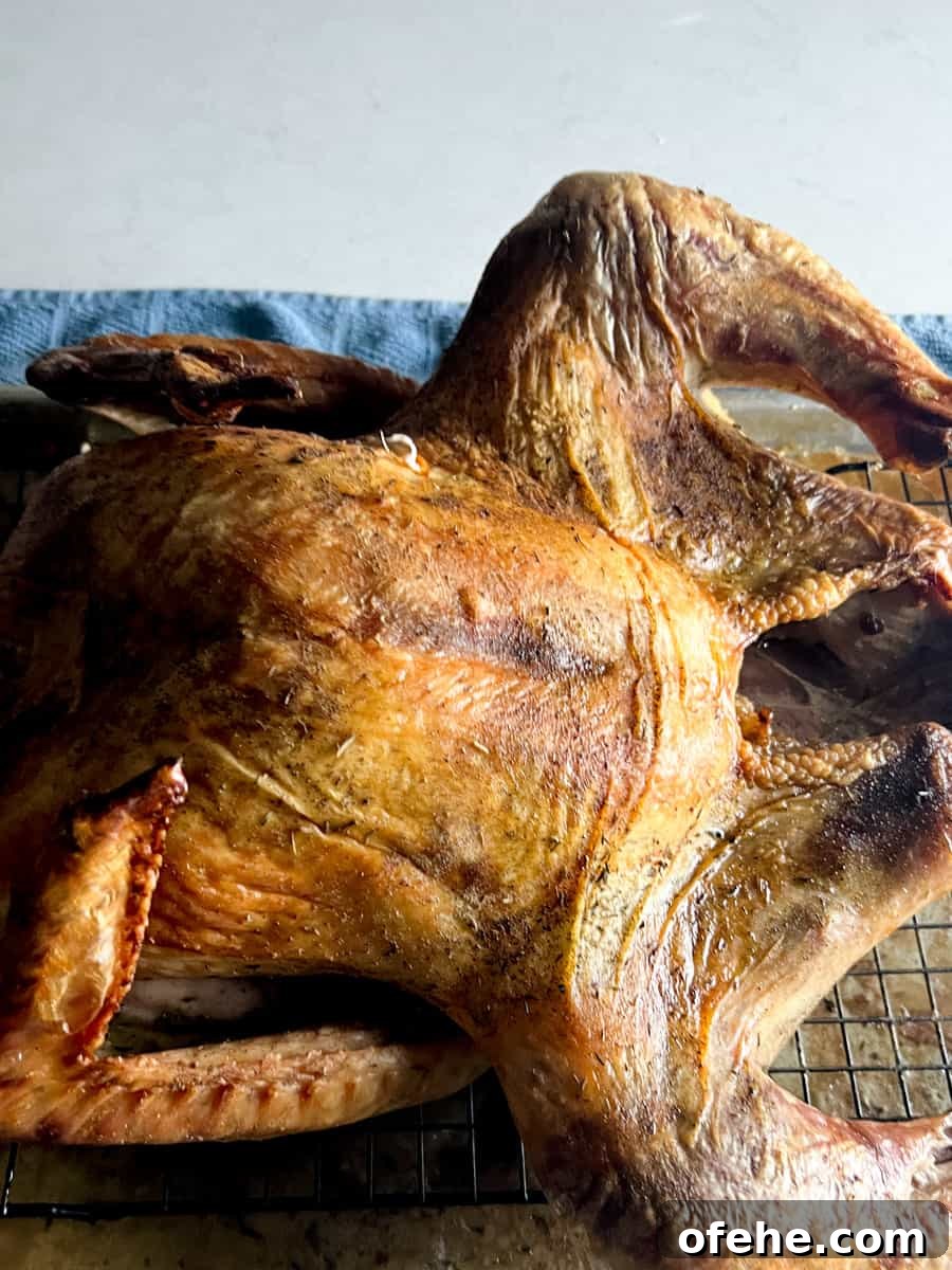 Spatchcocked Turkey Recipe for Juicy, Crispy Results 2 Spatchcocked Dry-Brined Roasted Turkey