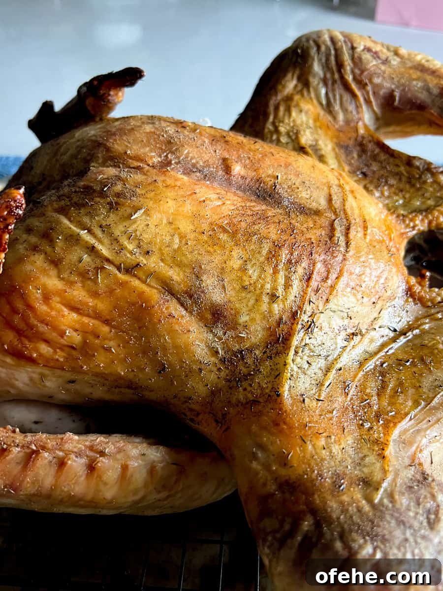 Spatchcocked Turkey Recipe for Juicy, Crispy Results 3 Spatchcocked Dry-Brined Roasted Turkey