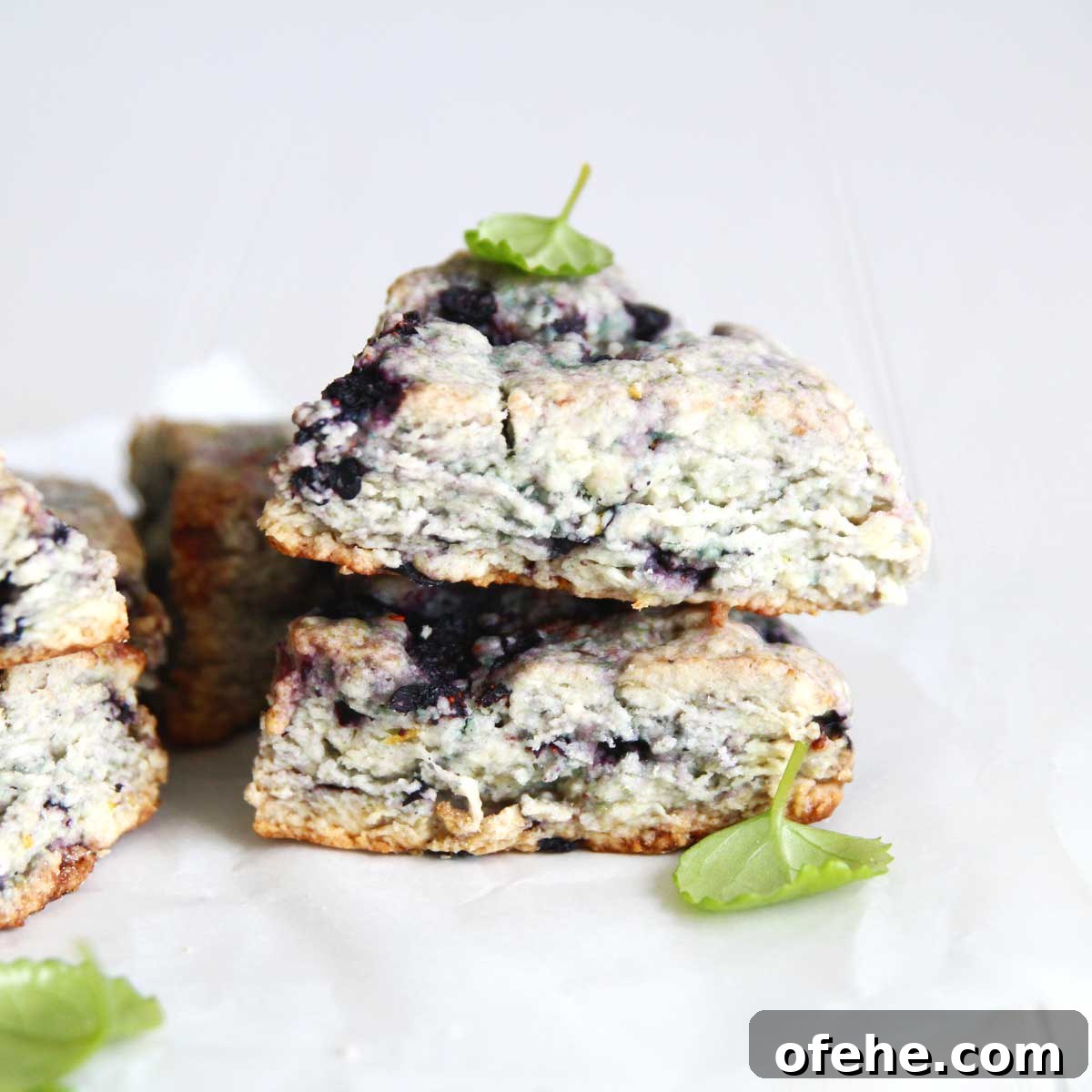 IMG_35118 Scone Flavor Ideas - Sweet - Vegan Blueberry Scones