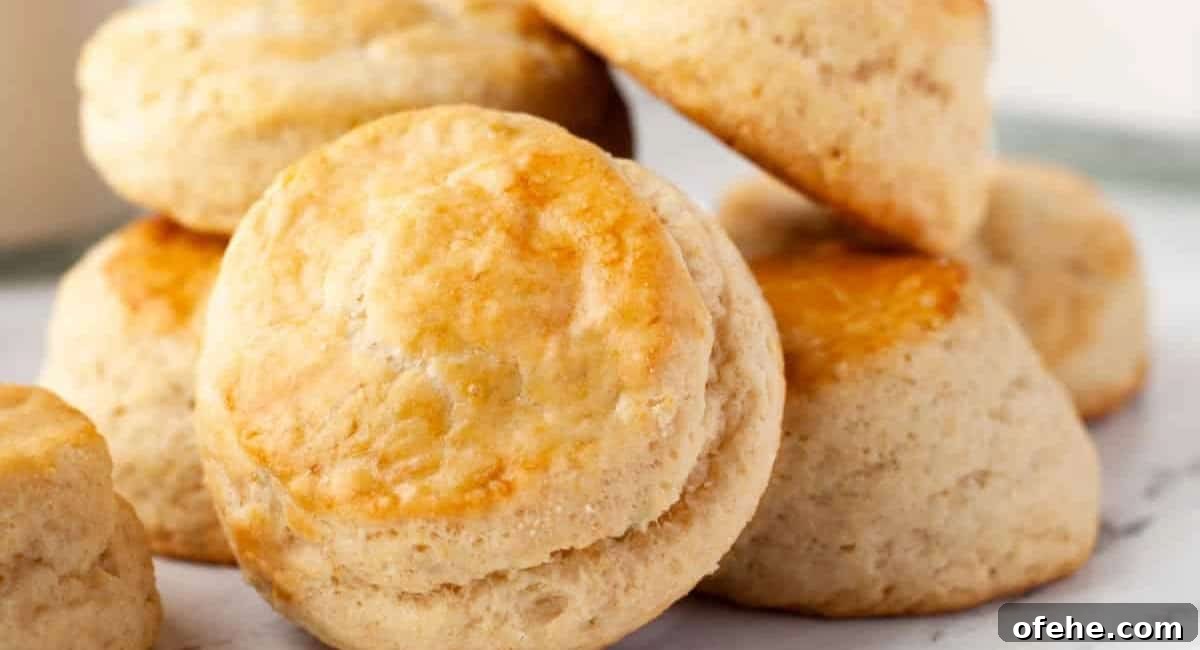 Up close image of homemade buttermilk biscuits.