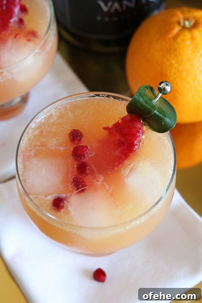 Pomegranate and Blood Orange Cocktail Recipe for Winter Cocktails 2 top view of pomegranate blood orange cocktail with garnish