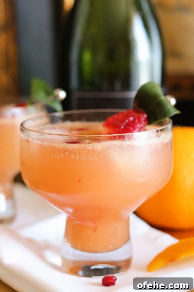 Pomegranate and Blood Orange Cocktail Recipe for Winter Cocktails 4 pomegranate blood orange cocktail in glass with garnish