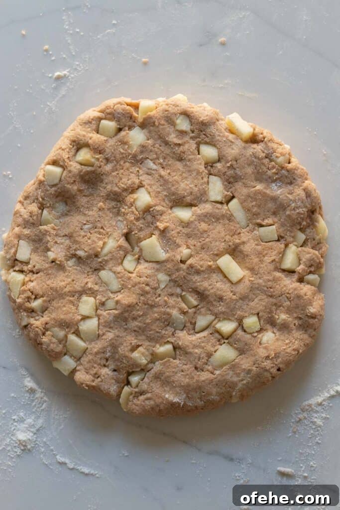 Apple Cinnamon Scones with Crunchy Cinnamon Streusel Topping 5 round disc of apple cinnamon scone dough
