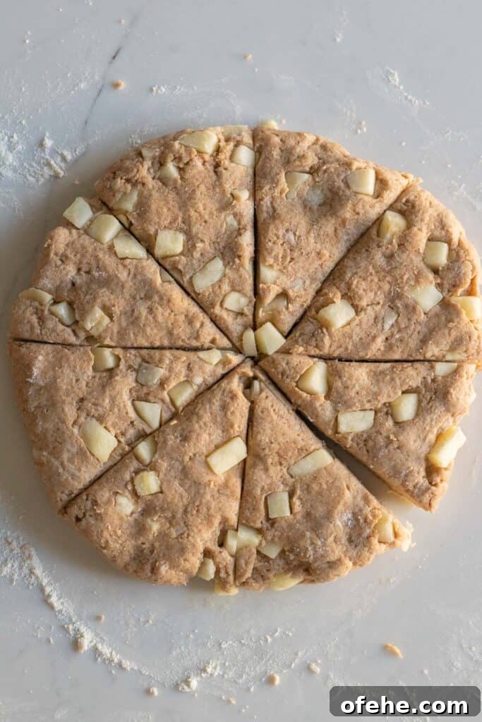 Apple Cinnamon Scones with Crunchy Cinnamon Streusel Topping 6 round disc of apple cinnamon scone dough cut into wedges
