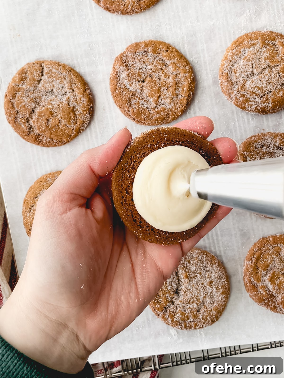 Ginger Molasses Cookie Sandwiches with Creamy Filling Recipe 6 img 34 5