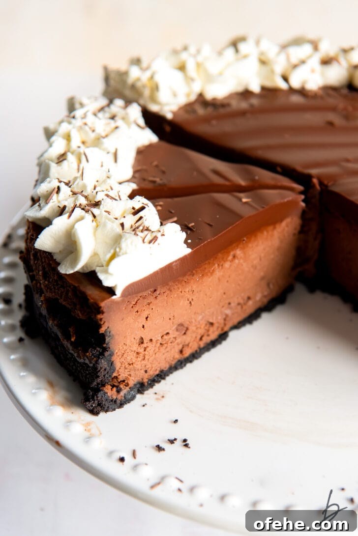 chocolate cheesecake slices garnished with whipped cream on a white cake plate