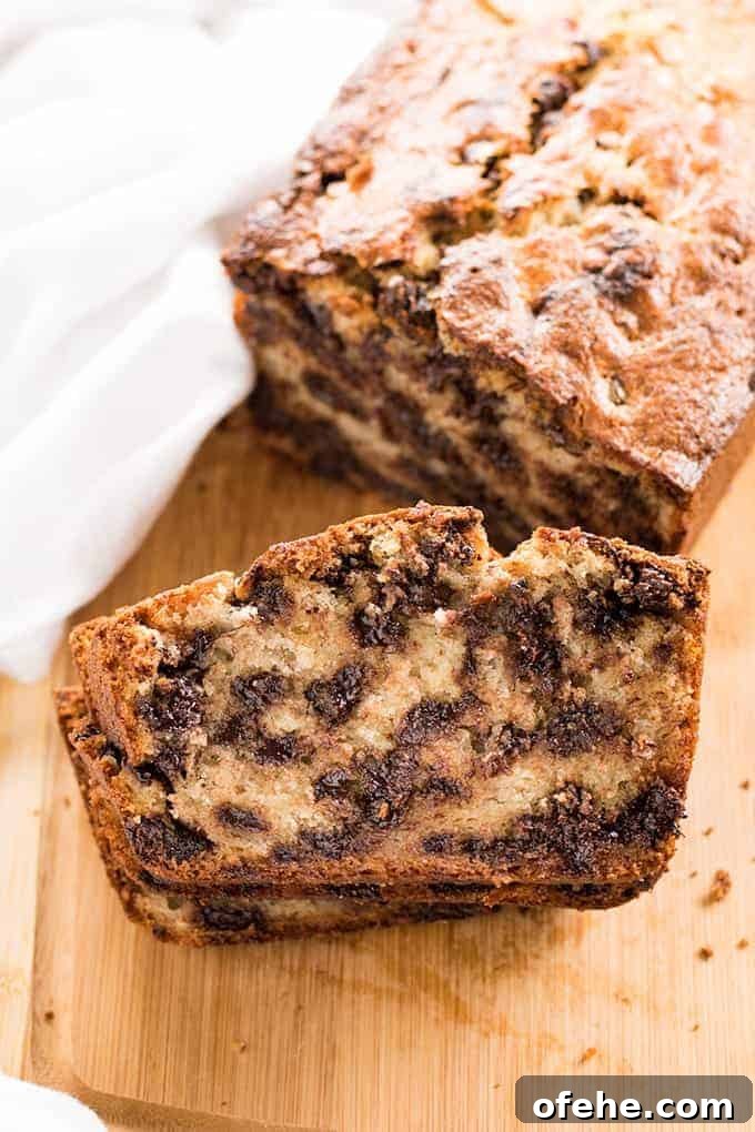 One Bowl Chocolate Chip Banana Bread - The absolute best, super moist banana bread recipe that is easy to make in just one bowl! This banana bread is full of chocolate chips for even more decadence! One Bowl Chocolate Chip Banana Bread