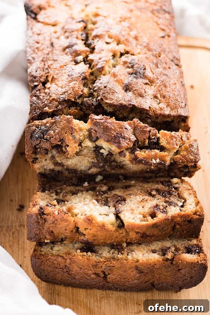 One-Bowl Chocolate Chip Banana Bread Recipe 2 One Bowl Banana Bread with Chocolate Chips Easy