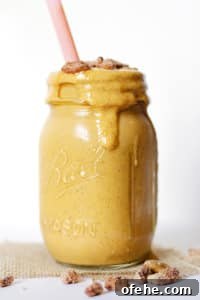 Creamy Pumpkin Chia Smoothie Recipe for Fall Boost 2 img 3683 7