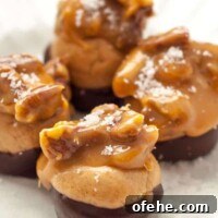 Buckeye Peanut Butter Turtles: Chocolate-Covered Candy Recipe 5 A close up shot of a plate of Easy Buckeye Turtles recipe