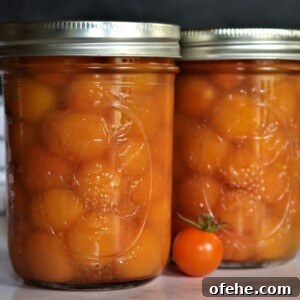 How to Can Cherry Tomatoes at Home: Step-by-Step Guide 11 Canning Cherry Tomatoes
