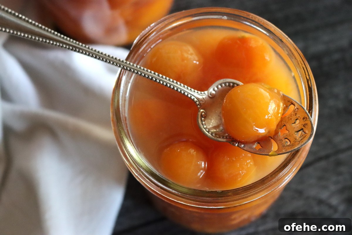 How to Can Cherry Tomatoes at Home: Step-by-Step Guide 8 Canning Cherry Tomatoes
