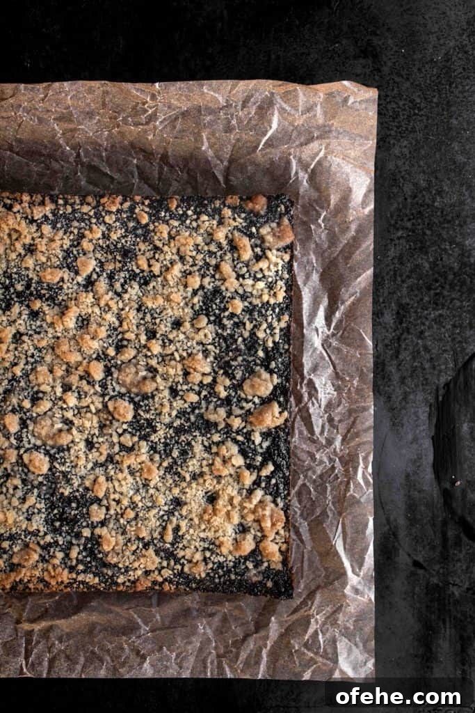 Poppy Seed Bar Recipe: Chewy, Citrus-Infused Seed Bars 4 img 3787 3