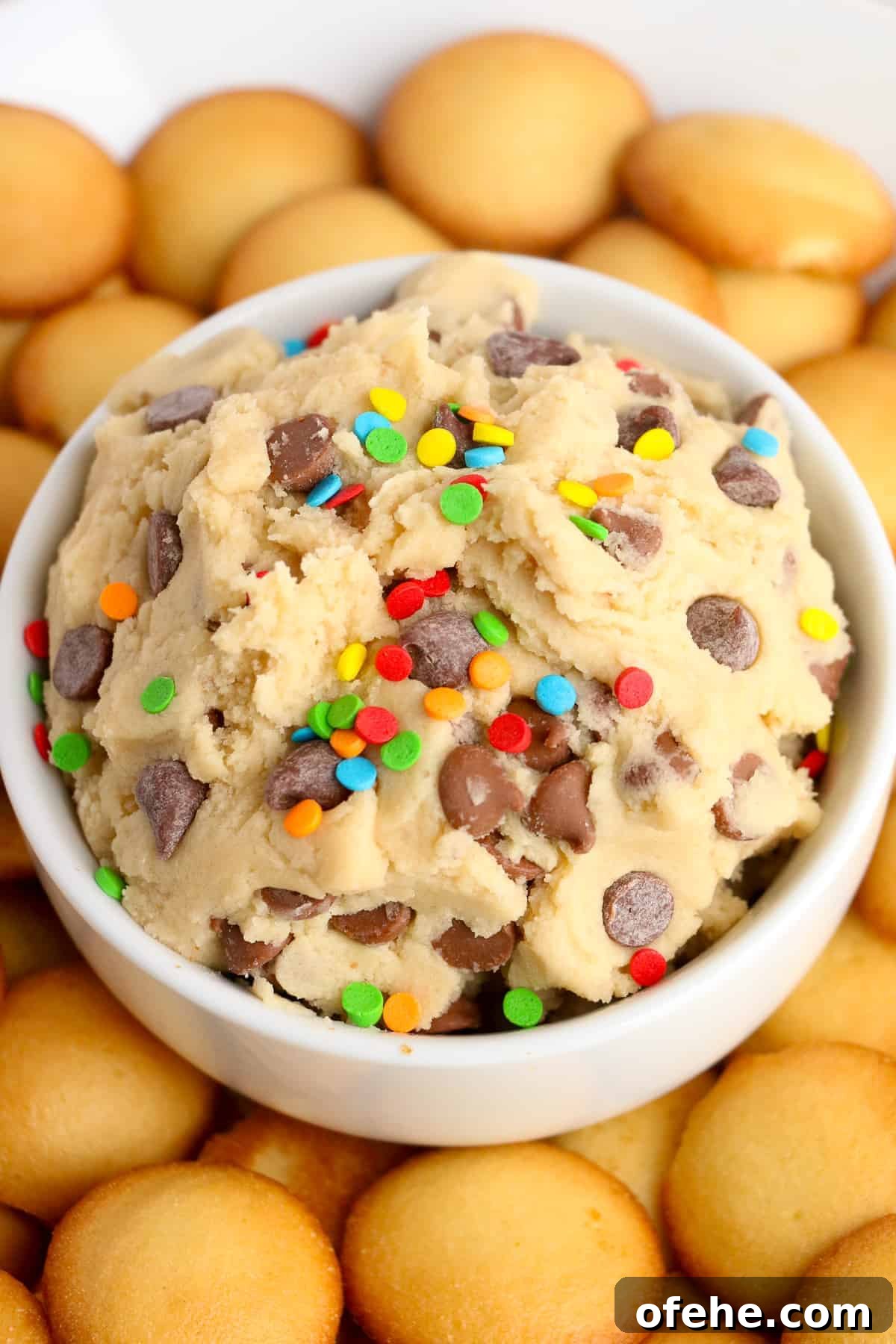 Edible Oreo Cookie Dough Recipe You Can Eat Raw 11 Cookie Dough Dip