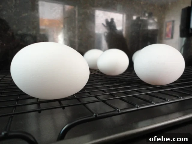  Eggs on Cooling Rack on Baking Tray To Be Hard Baked