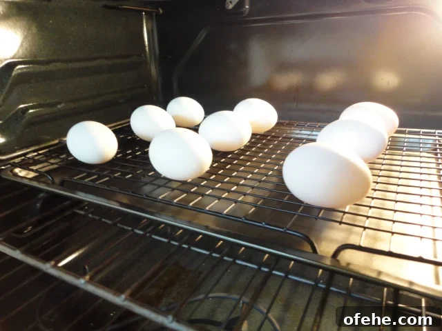 Eggs Baking in the Oven