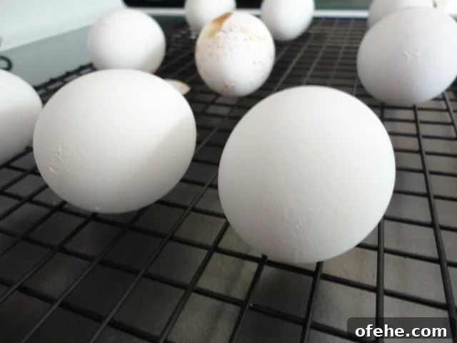 Baked Hard Cooked Eggs on Cooling Rack on Baking Tray