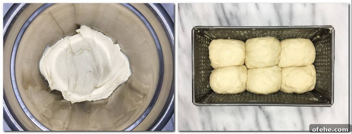 Authentic French Brioche Recipe for Soft, Buttery Loaves 7 Photo 3: Dough in a metal bowl Photo 4: Shaped dough balls in a bread pan
