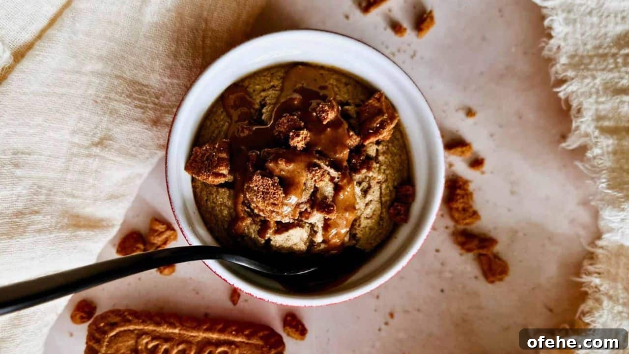 15 Genius Ways to Use Oats You Haven't Tried 15 Biscoff Baked Oats