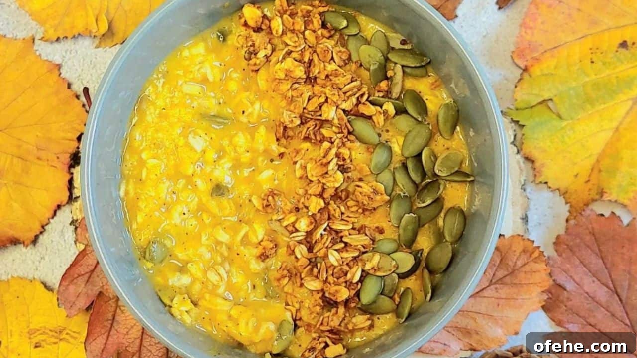 15 Genius Ways to Use Oats You Haven't Tried 10 Warm Pumpkin Oatmeal Porridge