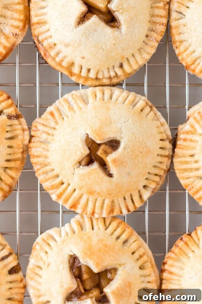 Homestyle Apple Hand Pies: Flaky Mini Pastry Recipe 13 img 4111 24