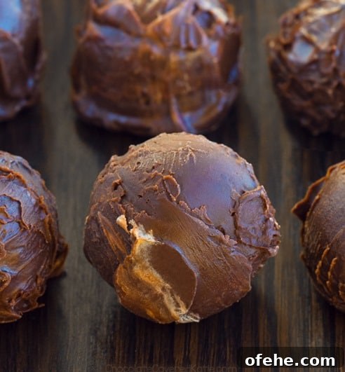 Brownie Fat Bombs Brownie Fat Bombs