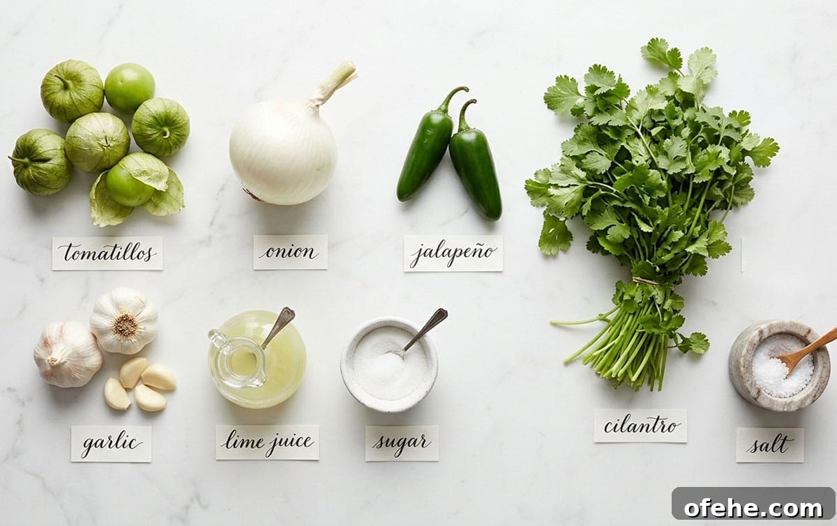 Ingredients for recipe on white marble background- cilantro, salt, jalapeno, onion, sugar, lime juice, garlic, tomatillos. 