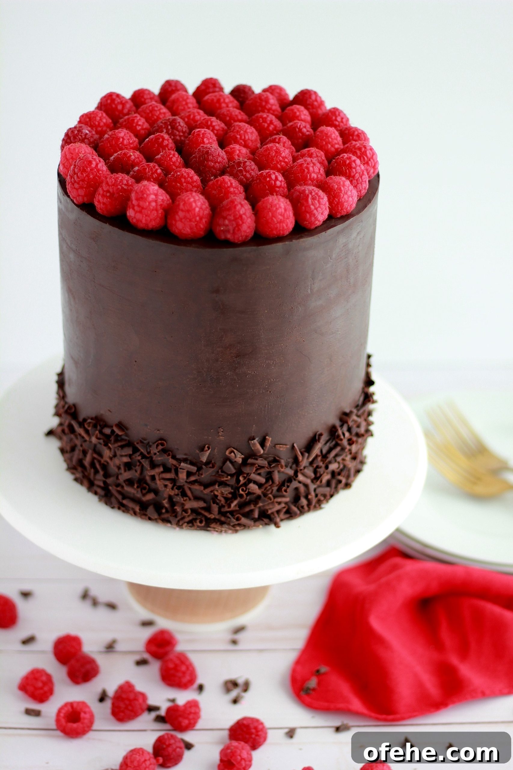 Decadent Dark Chocolate Raspberry Layer Cake Recipe 2 img 4324 1 scaled