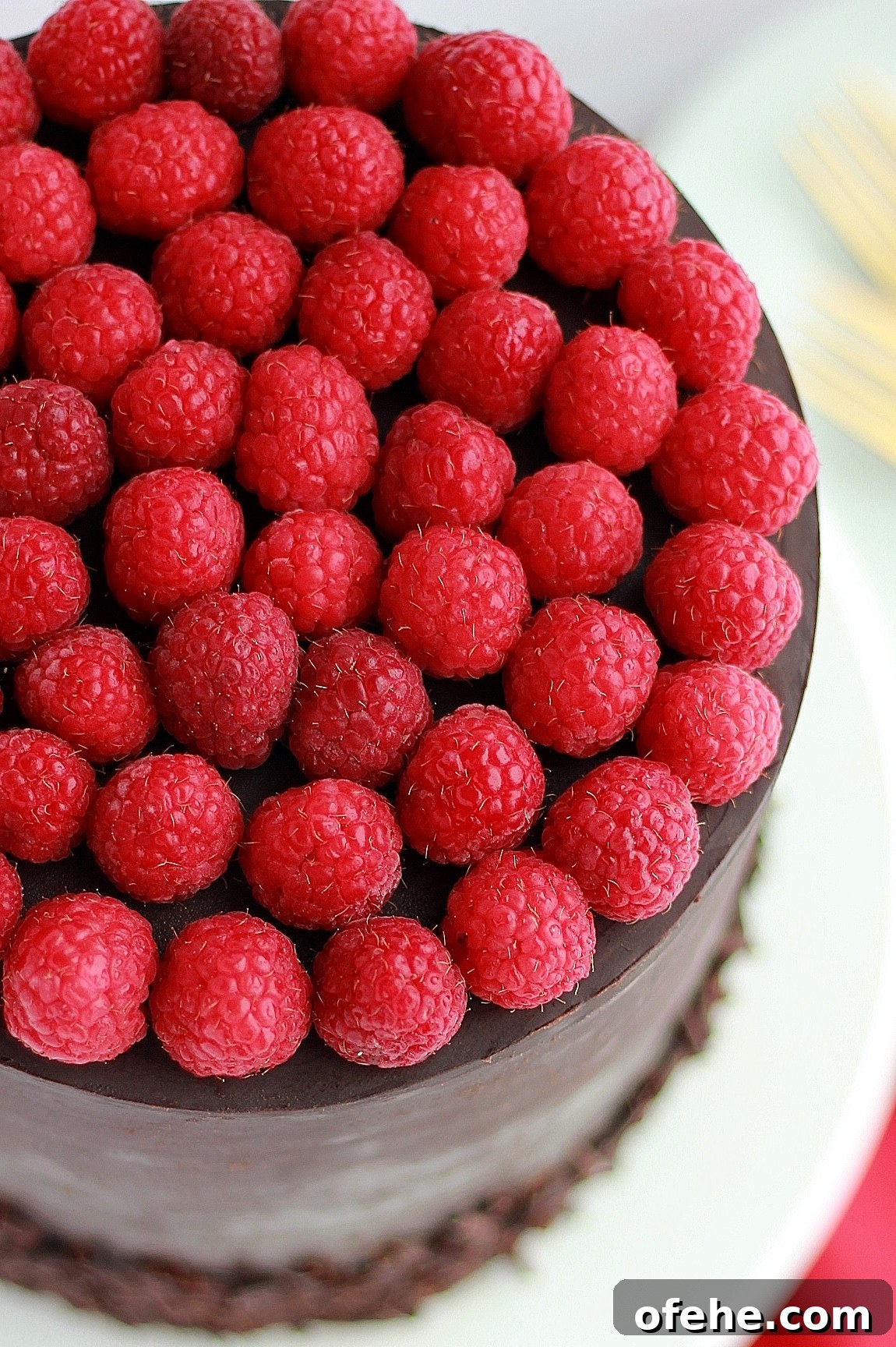 Decadent Dark Chocolate Raspberry Layer Cake Recipe 4 img 4324 3