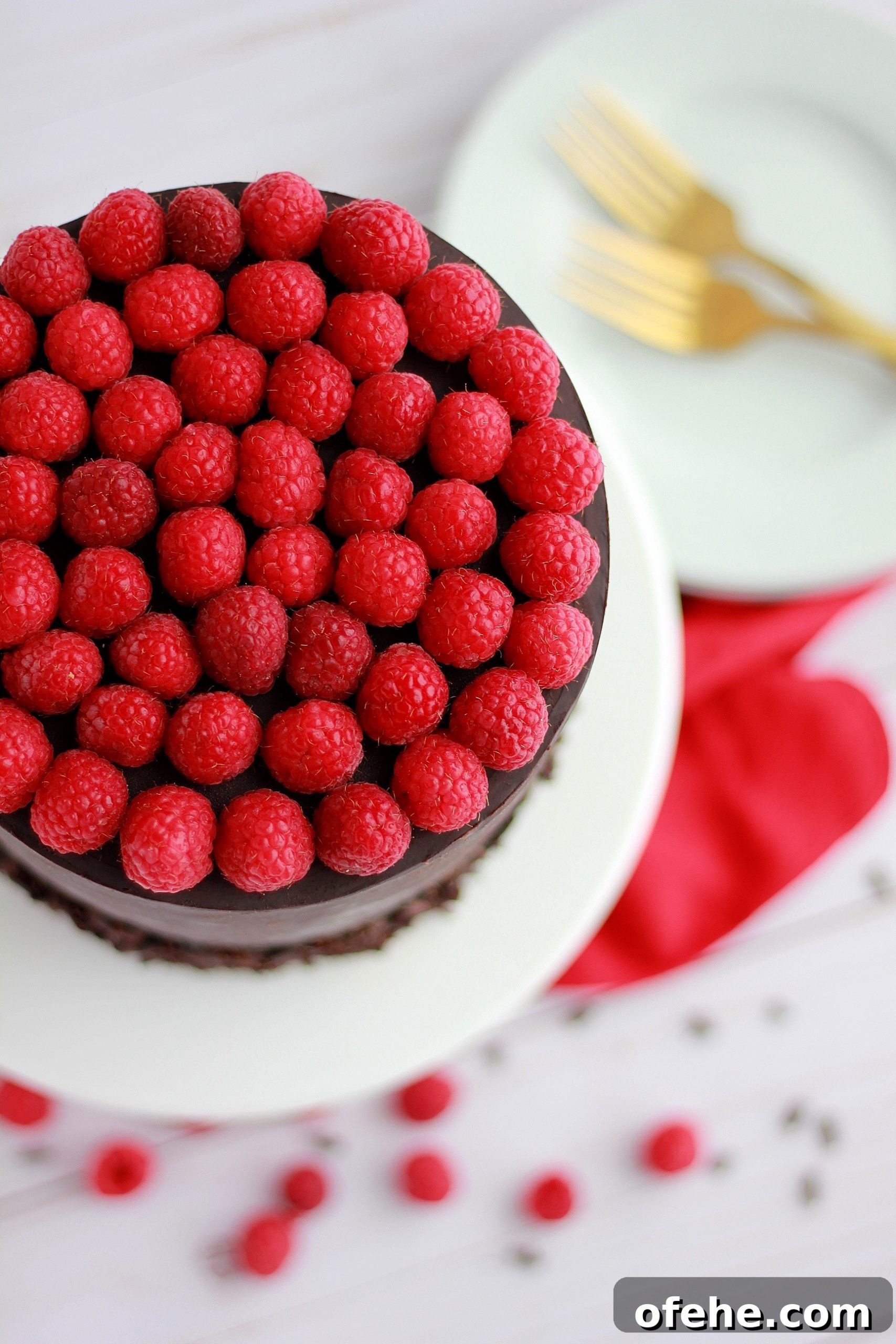 Decadent Dark Chocolate Raspberry Layer Cake Recipe 5 img 4324 4 scaled