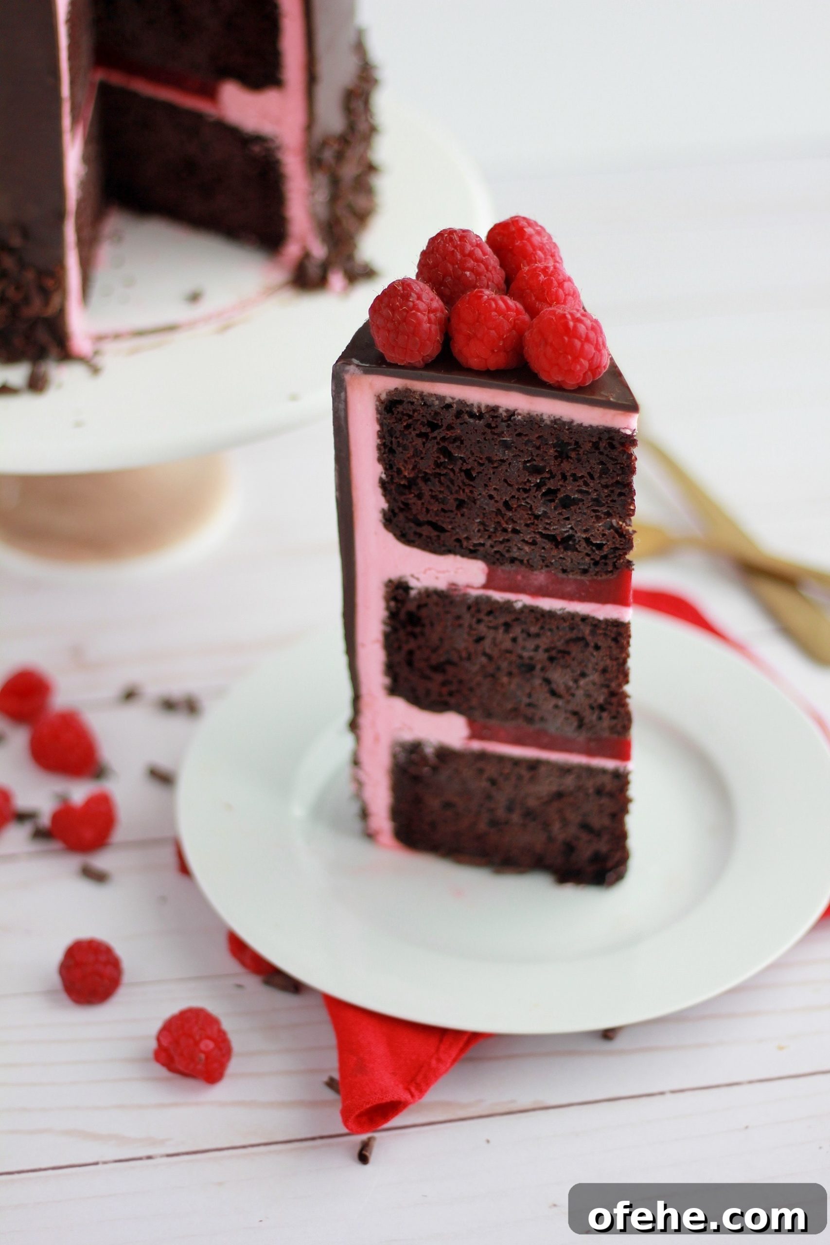 Decadent Dark Chocolate Raspberry Layer Cake Recipe 6 img 4324 5 scaled