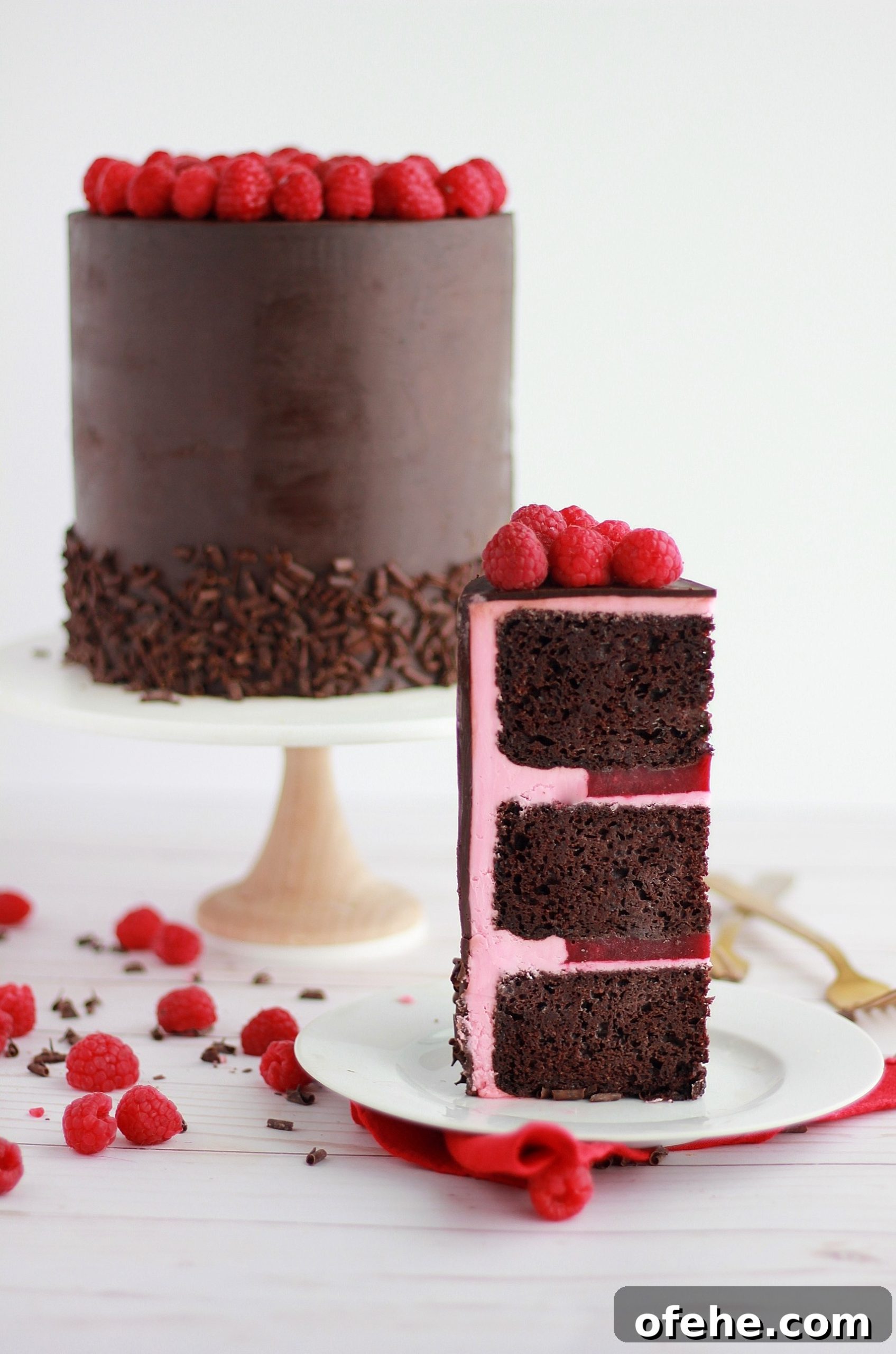 Decadent Dark Chocolate Raspberry Layer Cake Recipe 9 img 4324 8 scaled