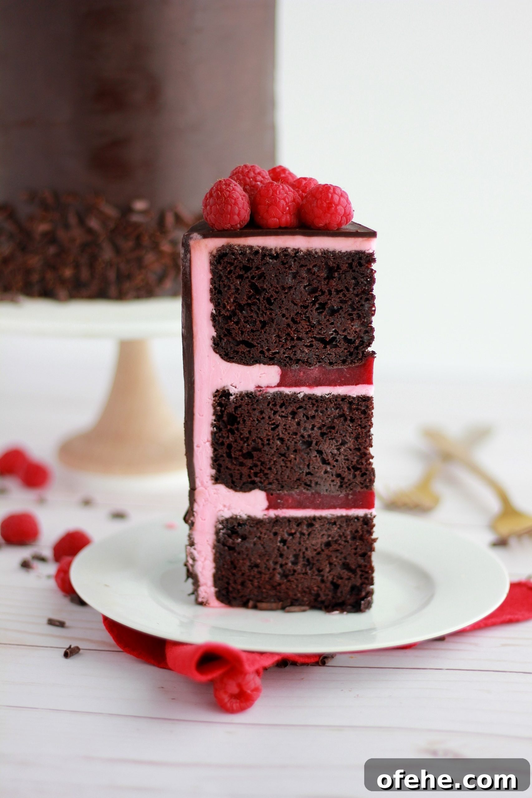 Decadent Dark Chocolate Raspberry Layer Cake Recipe 10 img 4324 9 scaled