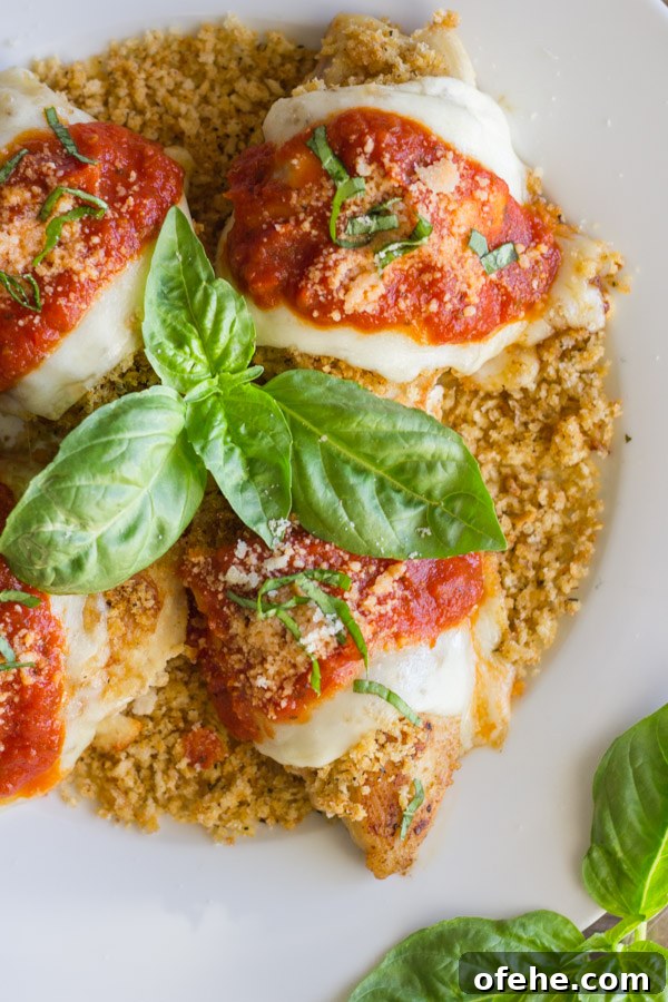 Crispy Chicken Parmesan with Toasted Panko Crust 13 Easy Chicken Parmesan With Toasted Panko on top of a thin layer of the toasted Panko on a serving plate, topped with red sauce, grated Parmesan and some thinly sliced fresh basil, with fresh basil leaves in the center of the serving plate.