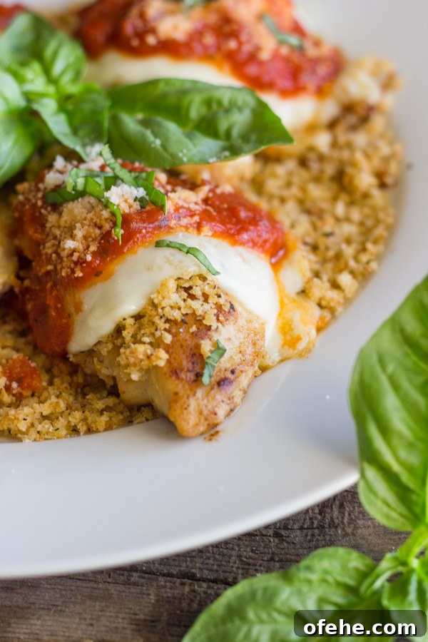 Easy Chicken Parmesan With Toasted Panko on top of a thin layer of the toasted Panko on a serving plate, topped with red sauce, grated Parmesan and some thinly sliced fresh basil, with fresh basil leaves in the center of the serving plate.  