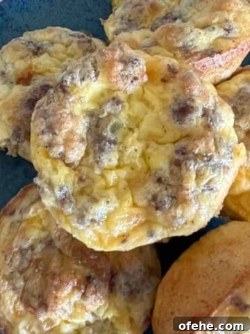 Carnivore Egg Bites
