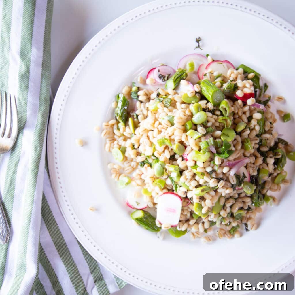 Farro salad with asparagus, fava beans, and radishes.