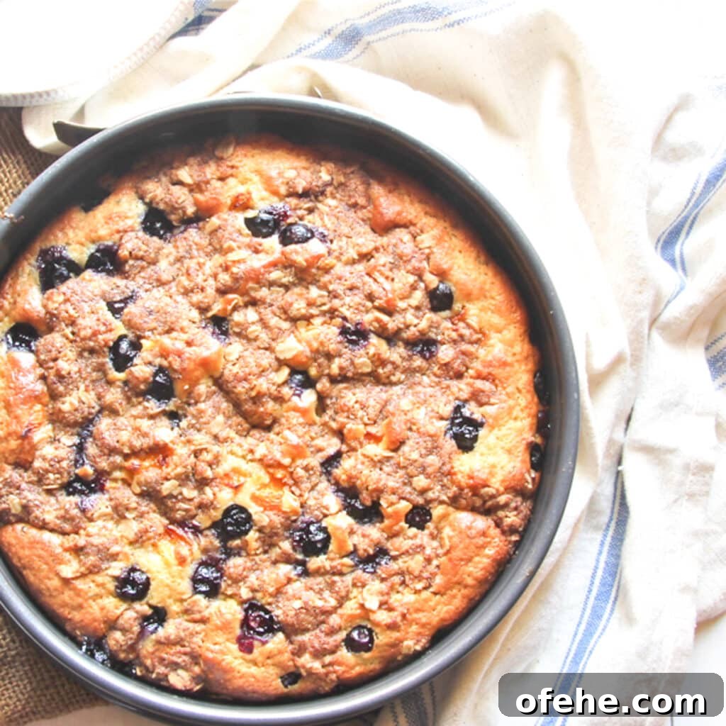 Blueberry coffee cake fresh from the oven.