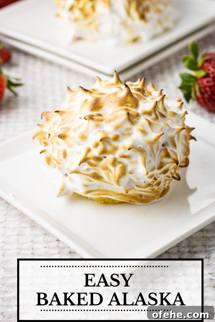Classic Baked Alaska Recipe: Torched Meringue Dessert Guide 10 BAKED ALASKA CAKE