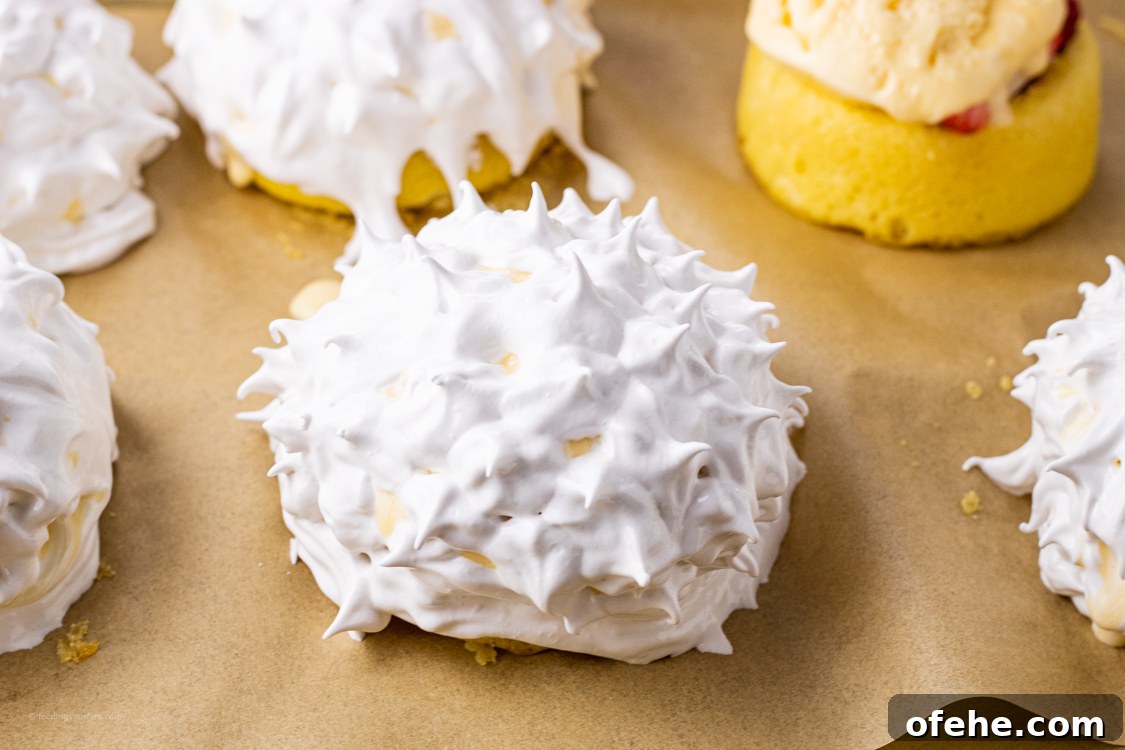 Classic Baked Alaska Recipe: Torched Meringue Dessert Guide 6 meringue topped baked alaska