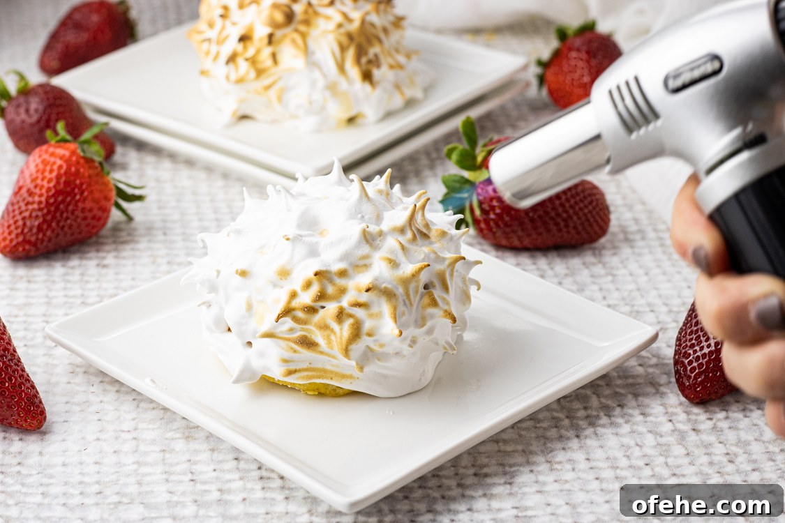 Classic Baked Alaska Recipe: Torched Meringue Dessert Guide 7 torching mernigue