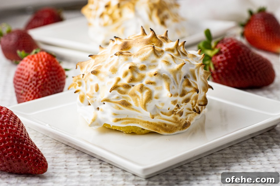 Classic Baked Alaska Recipe: Torched Meringue Dessert Guide 9 toasted meringue