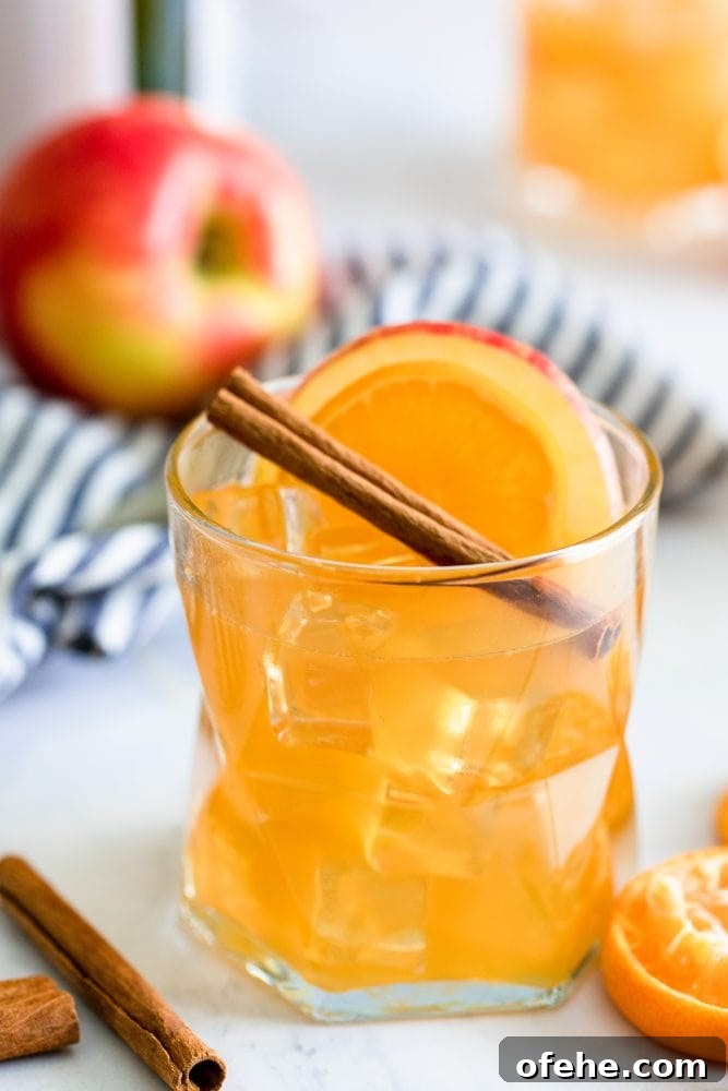 Sparkling Apple Cider Rum Punch Recipe for Fall Gatherings 2 rum punch in a glass with an apple cinnamon stick and slice of orange