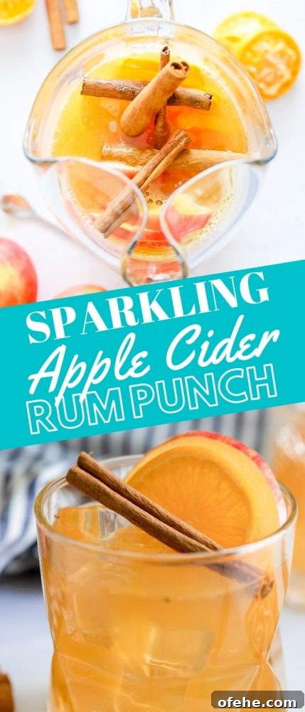Sparkling Apple Cider Rum Punch Recipe for Fall Gatherings 12 rum punch in a glass with an apple cinnamon stick and slice of orange