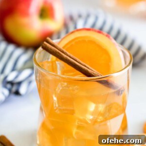 Sparkling Apple Cider Rum Punch Recipe for Fall Gatherings 13 A glass of orange juice garnished with cinnamon sticks and orange slices.